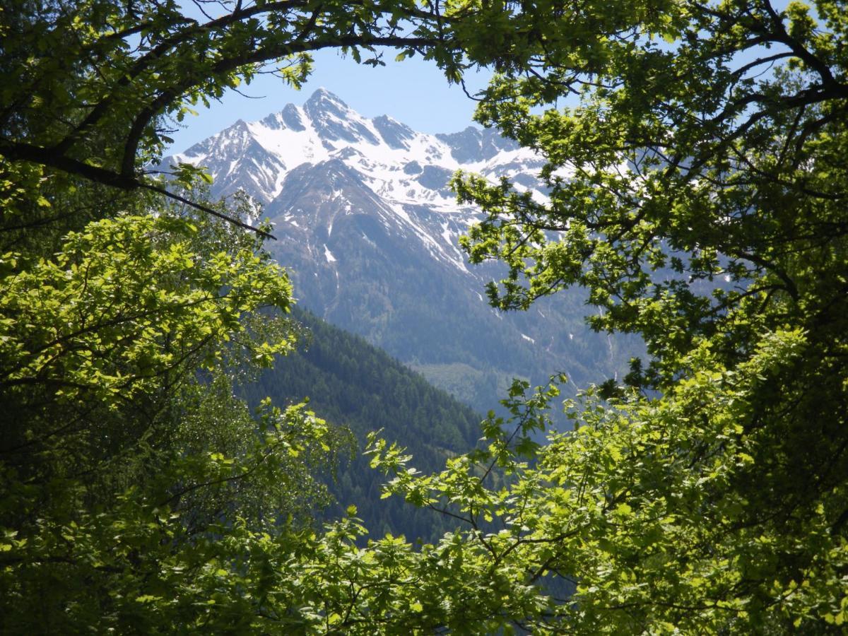 Appart Burgwies Ink Nationalpark Sommercard Stuhlfelden Exterior foto