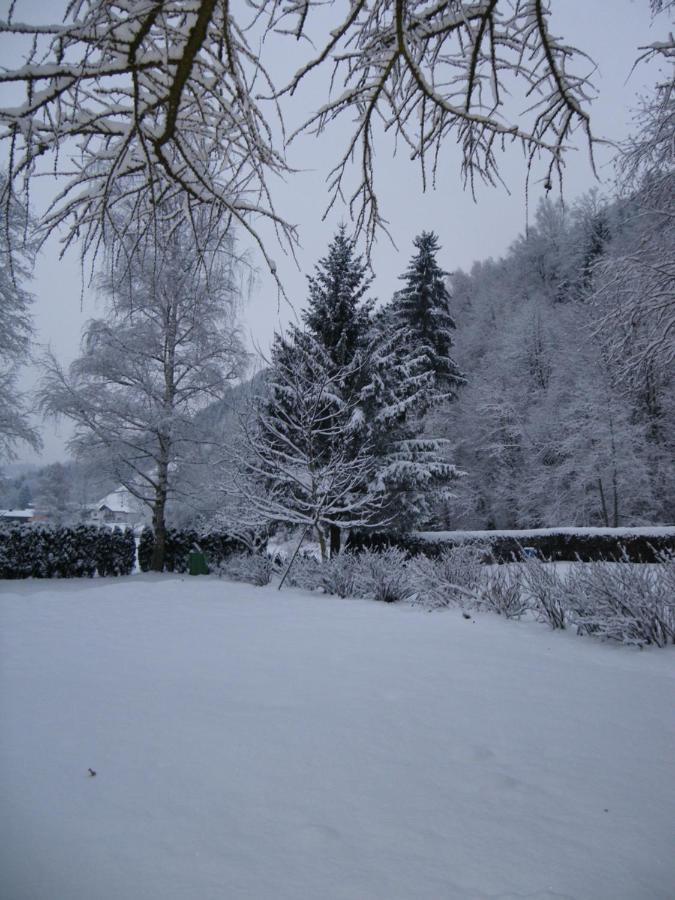 Appart Burgwies Ink Nationalpark Sommercard Stuhlfelden Exterior foto